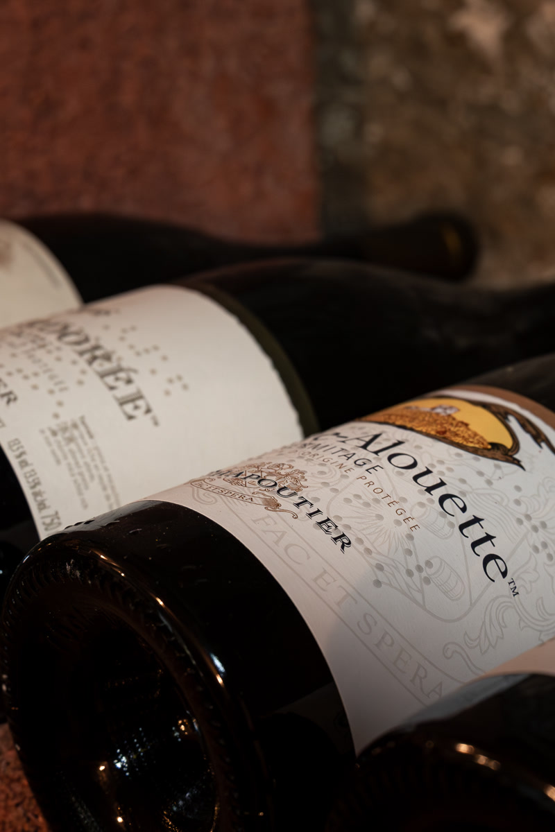 Les bouteilles couchées de la cave, étiquettes blanches des grands domaines