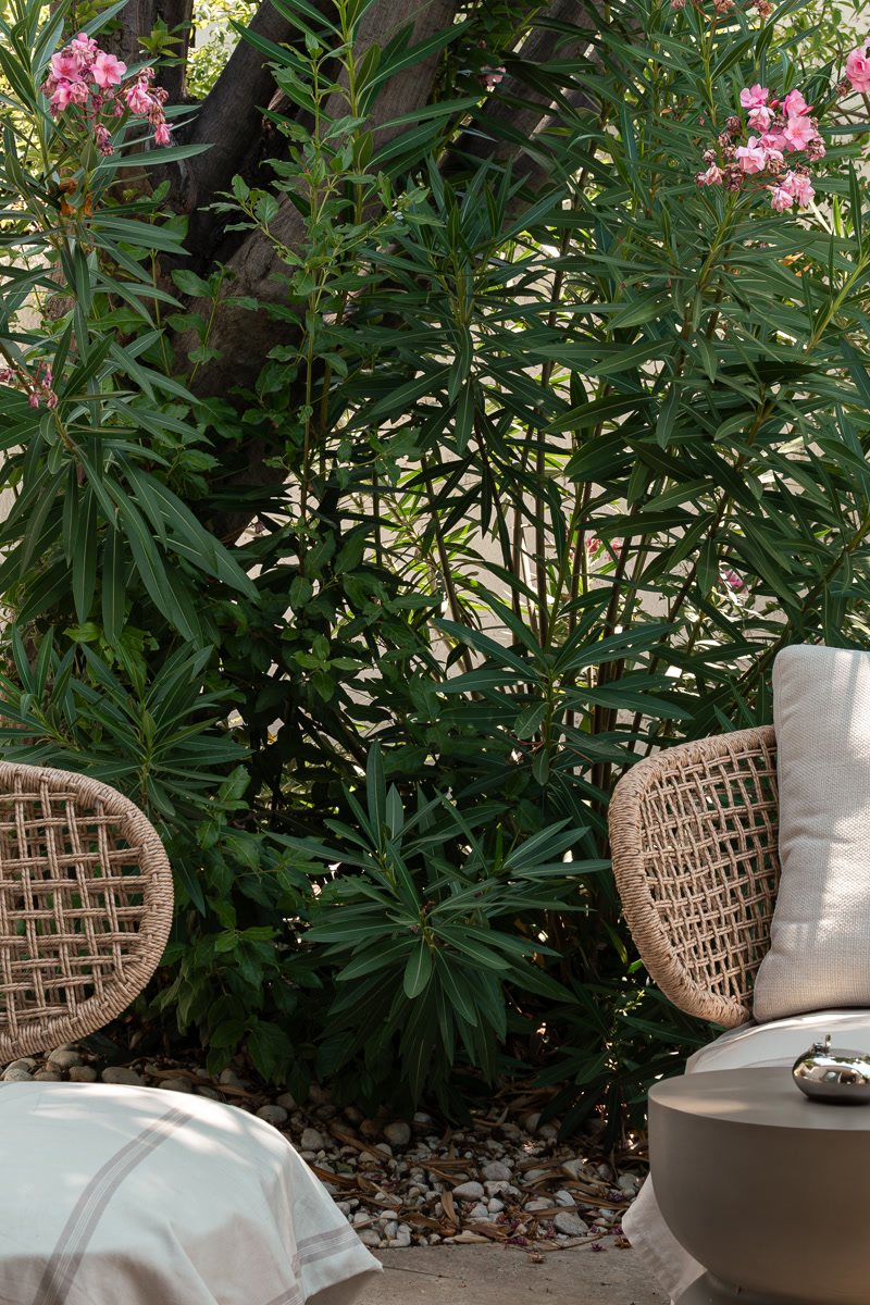 Les fauteuils en rotin du jardinet, parmi les lauriers-roses