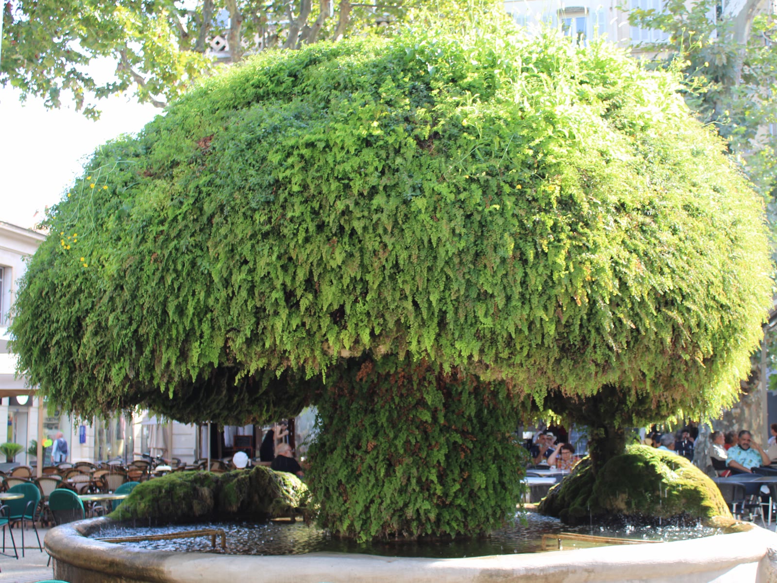 La fontaine Moussue, place Crousillat